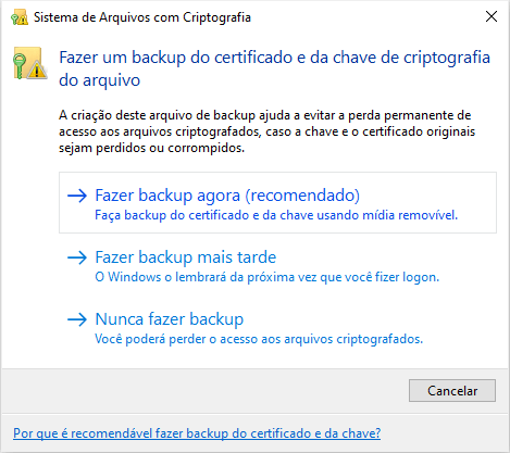 chave de criptografia de backup