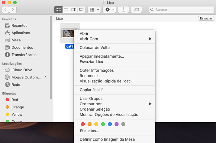 Recupere as fotos apagadas da Lixeira.