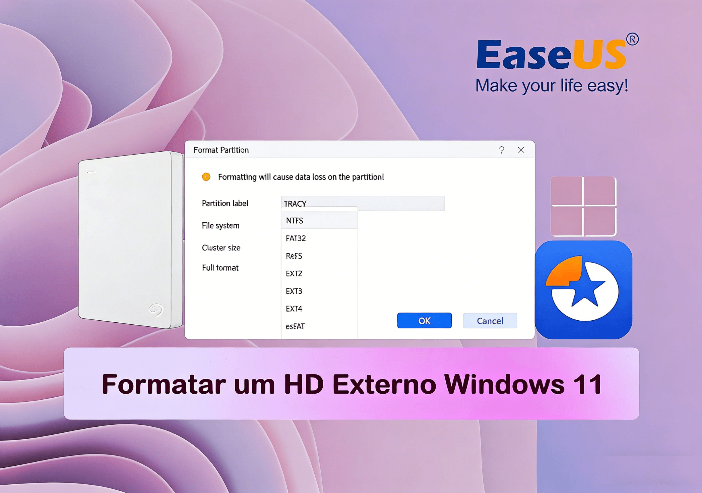 formatar hd externo windows 11