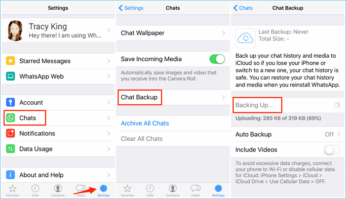 Fazer backup do WhatsApp no iPhone.