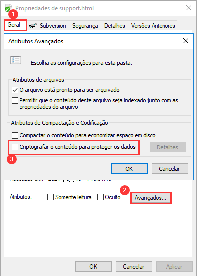 Como remover a criptografia no Windows 10