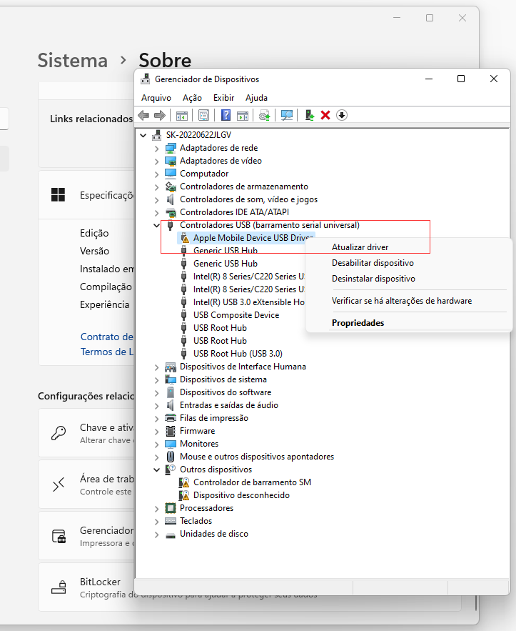 Atualize o driver do disco rígido externo para restaurá-lo à capacidade total.