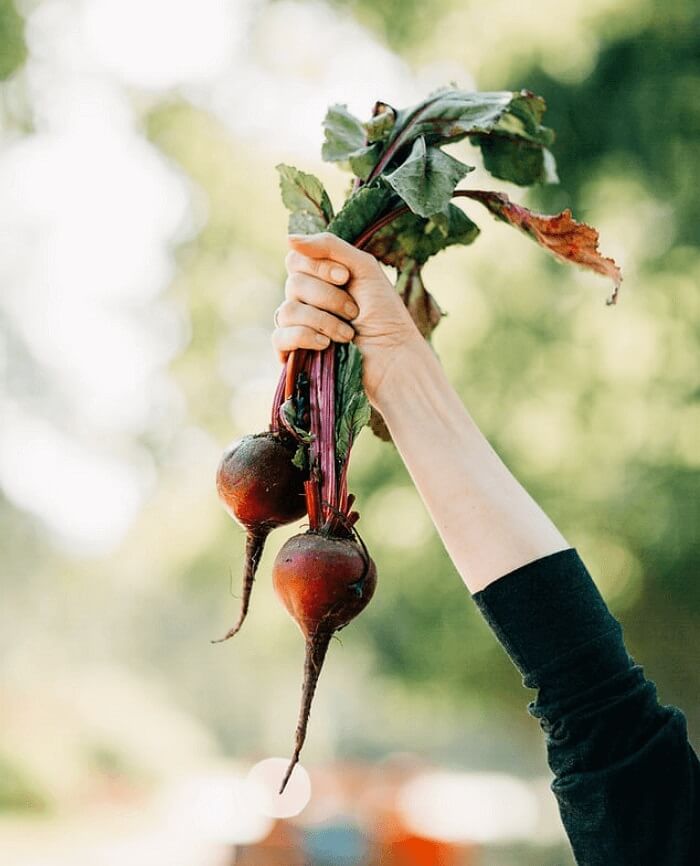 Como assinar um PDF no Mac de maneira conveniente