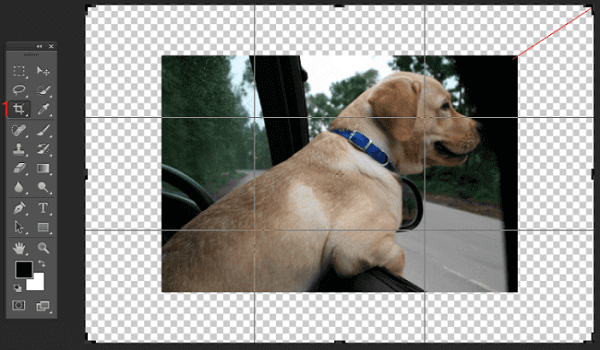 photoshop recortar imagem