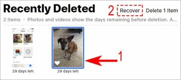clique na foto para recuperar