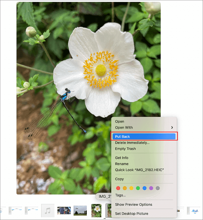 Coloque de volta os arquivos excluídos da Lixeira