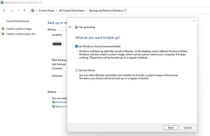 Janelas de Backup Manual