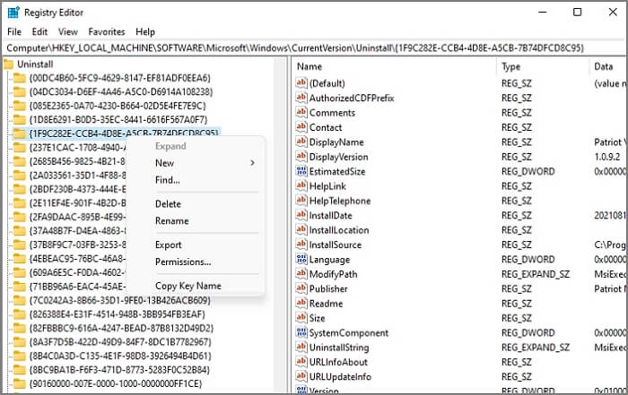excluir programas pelo registro